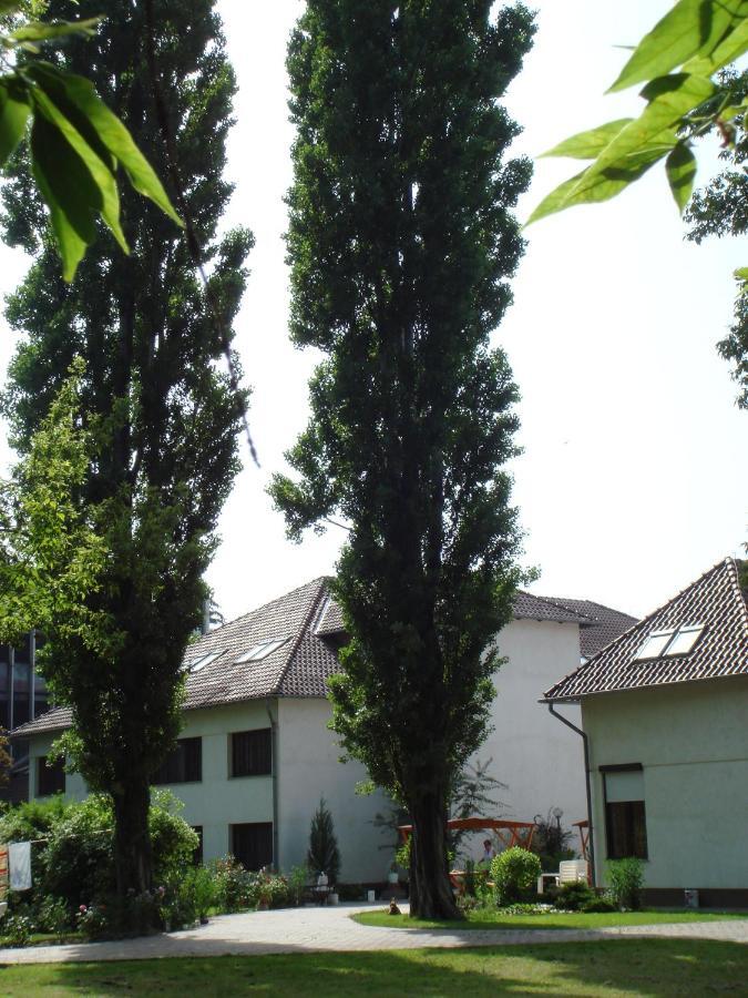 Roza Hotel Es Apartmanhaz Естерґом Номер фото